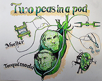 MuellerLovesTorquemada StillFrame01 exsm